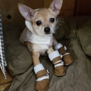 Meet your Posher, Lori